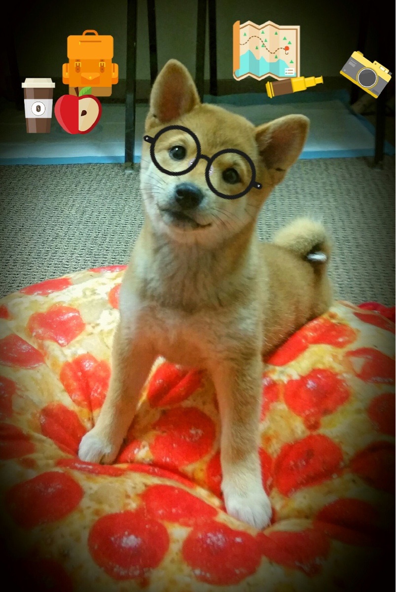 北欧力量压倒东方技艺,安赛龙关键制胜引领丹麦队完胜日本队