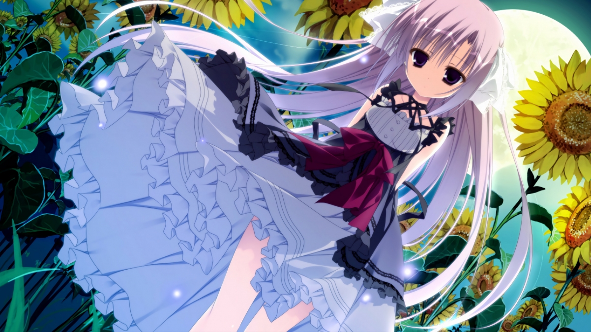 新星皮亚斯特里惊艳四座,索伯车队轻取红牛二队