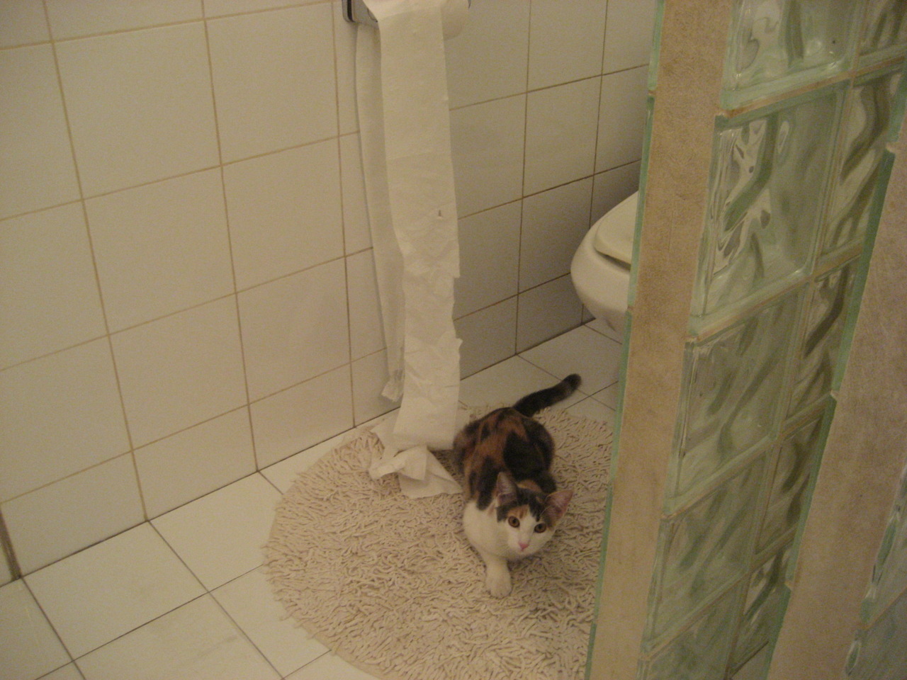 一夫当关,万夫莫开,拉亚神级扑救点燃圣西罗,AC米兰横扫卡塔尔军团