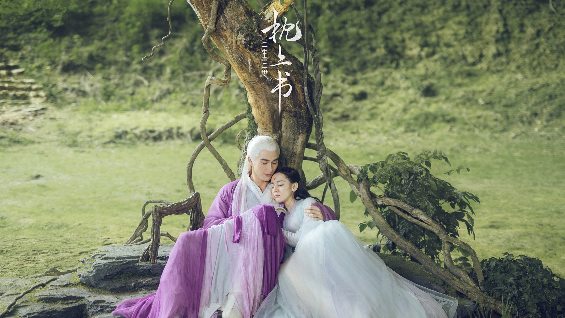 东契奇雪中送炭，太阳力克公牛迎连胜