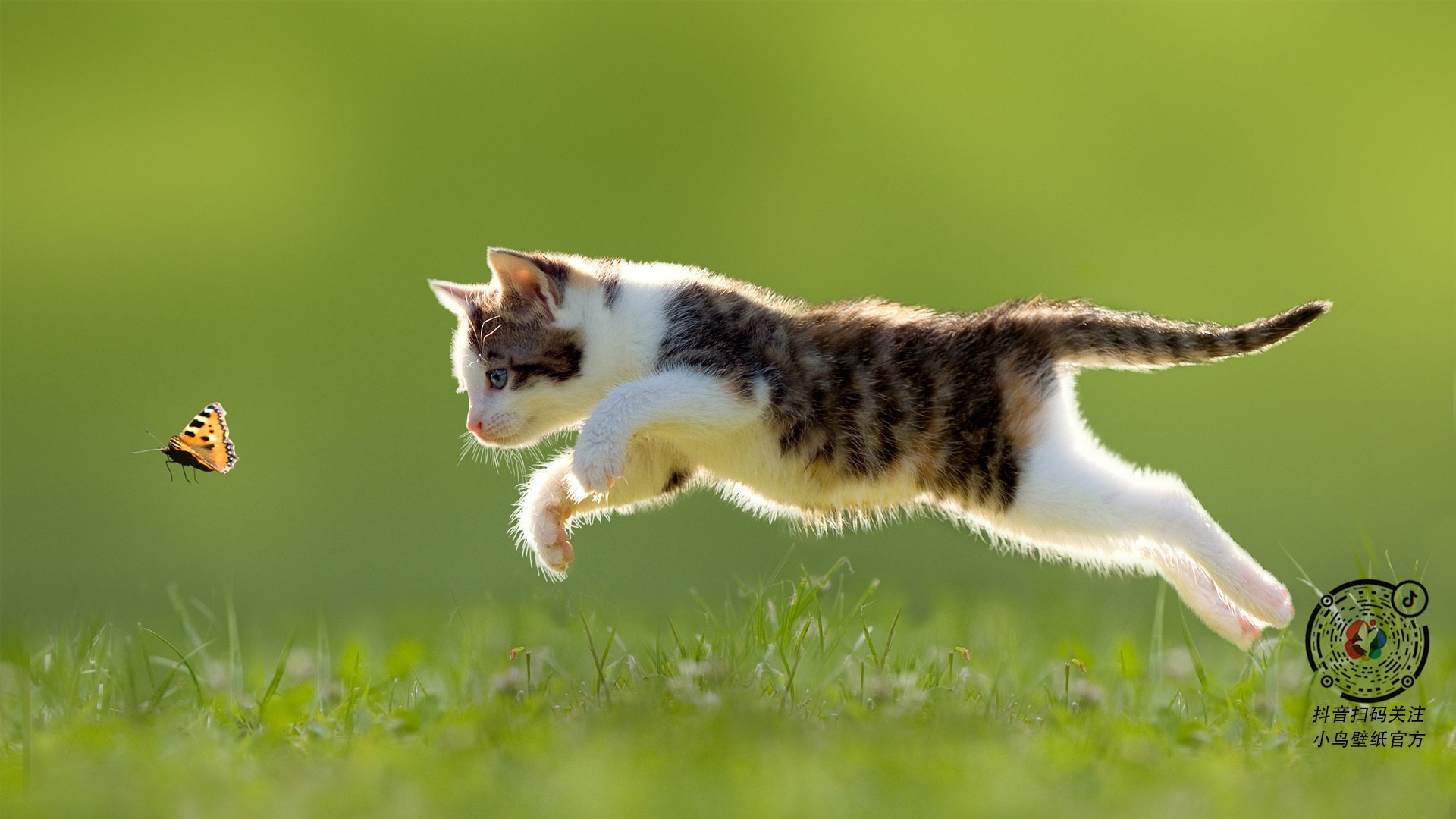 基耶萨利刃狂舞，南美风暴囚困药厂—一场个人英雄主义与战术铁壁的史诗对决