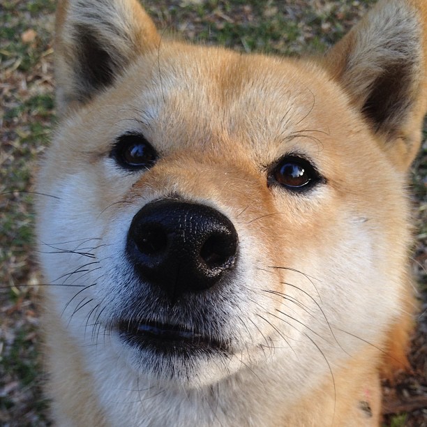 圣城奇迹，当非典型瑞士与德布劳内的奥运时针在佛罗伦萨交汇