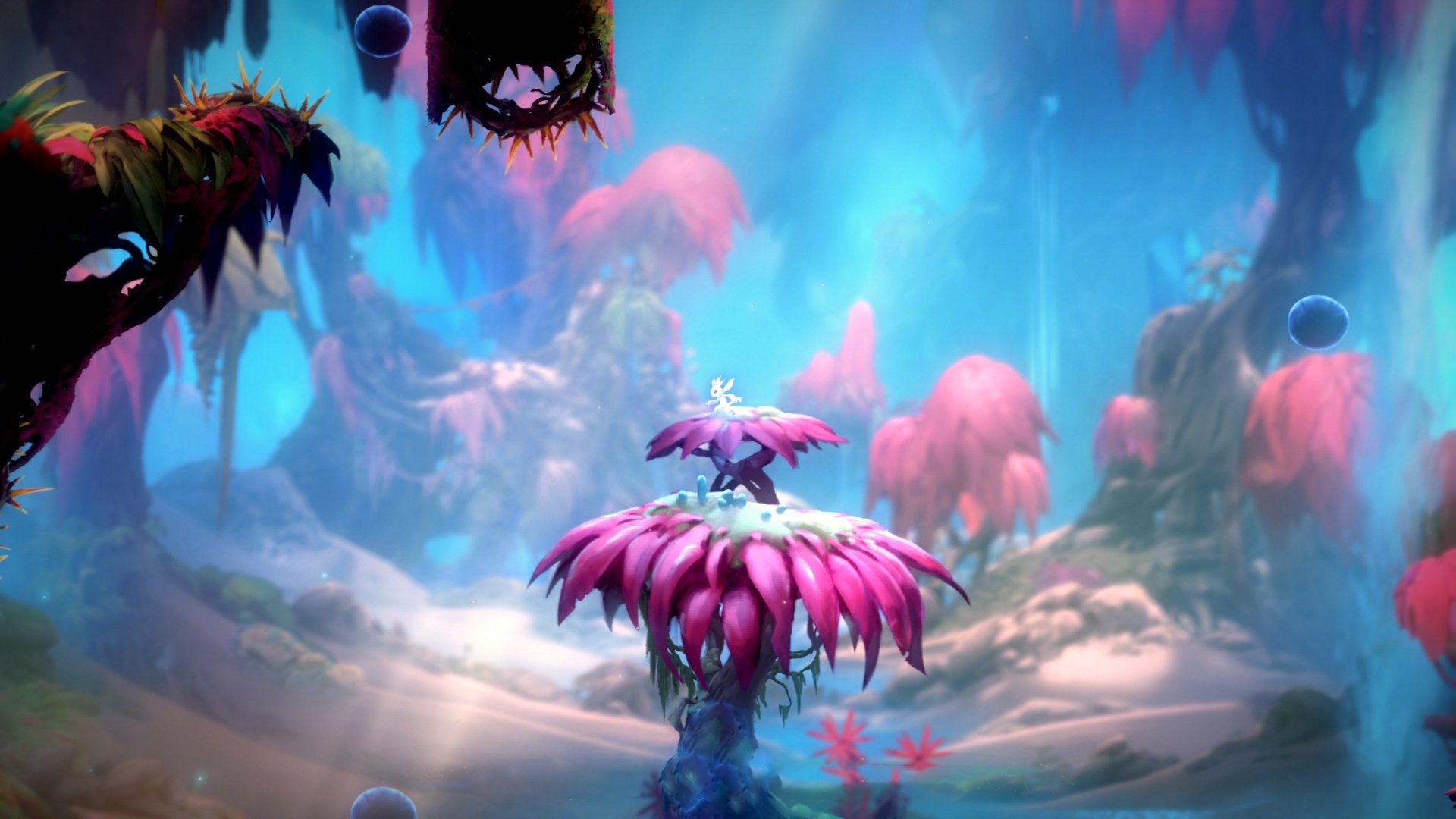 篮球骑士与足球库里，在不可能的交汇处点亮传奇