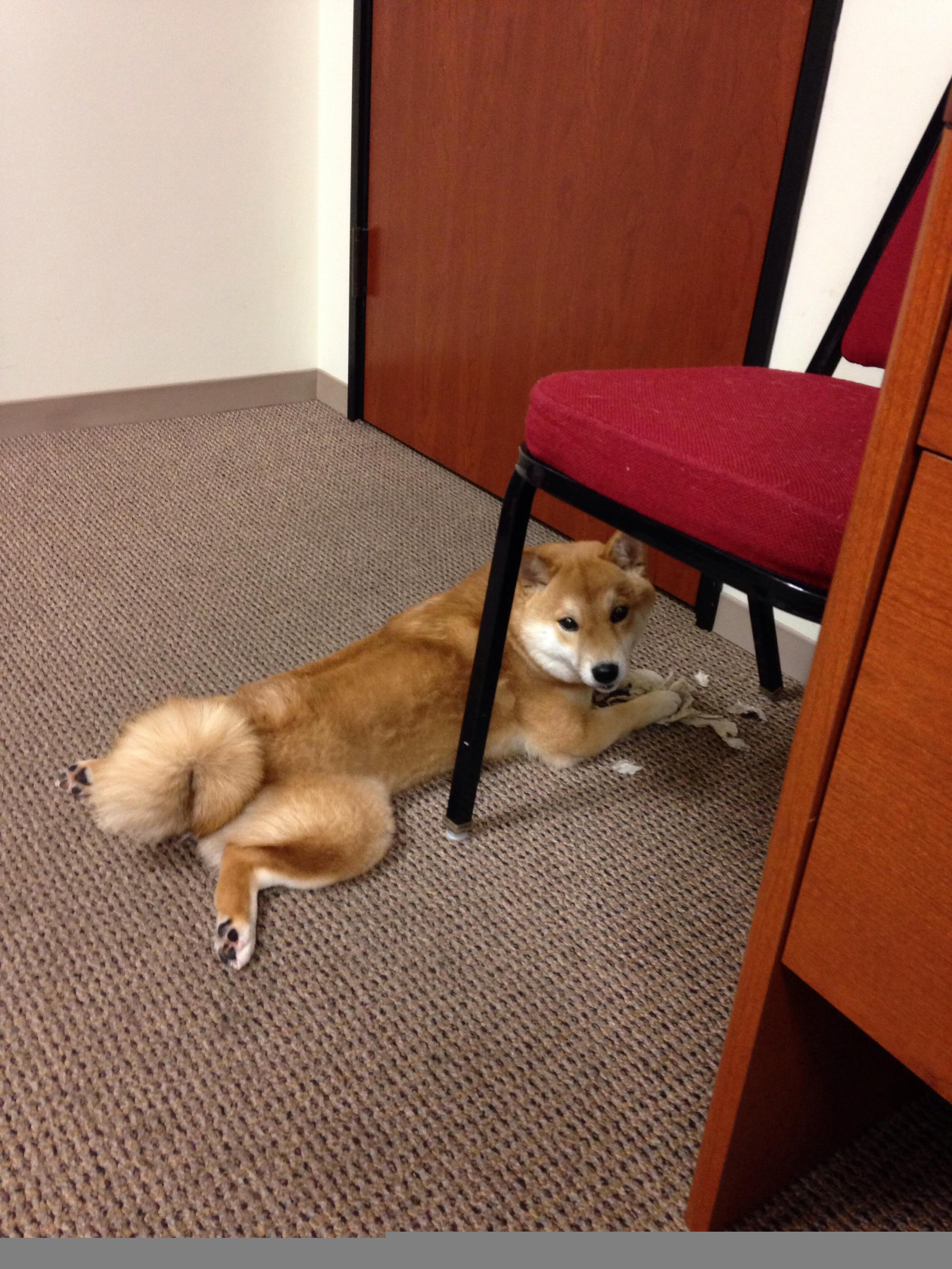 弑旧主！加时一剑封喉，孔德绝境中淬火重生