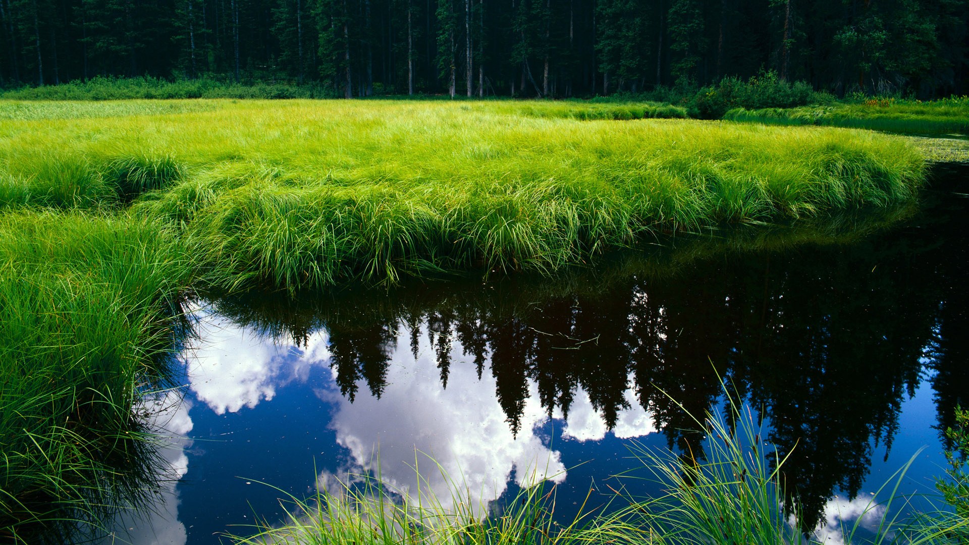 北非之光提前终结悬念，贝林厄姆新王登基