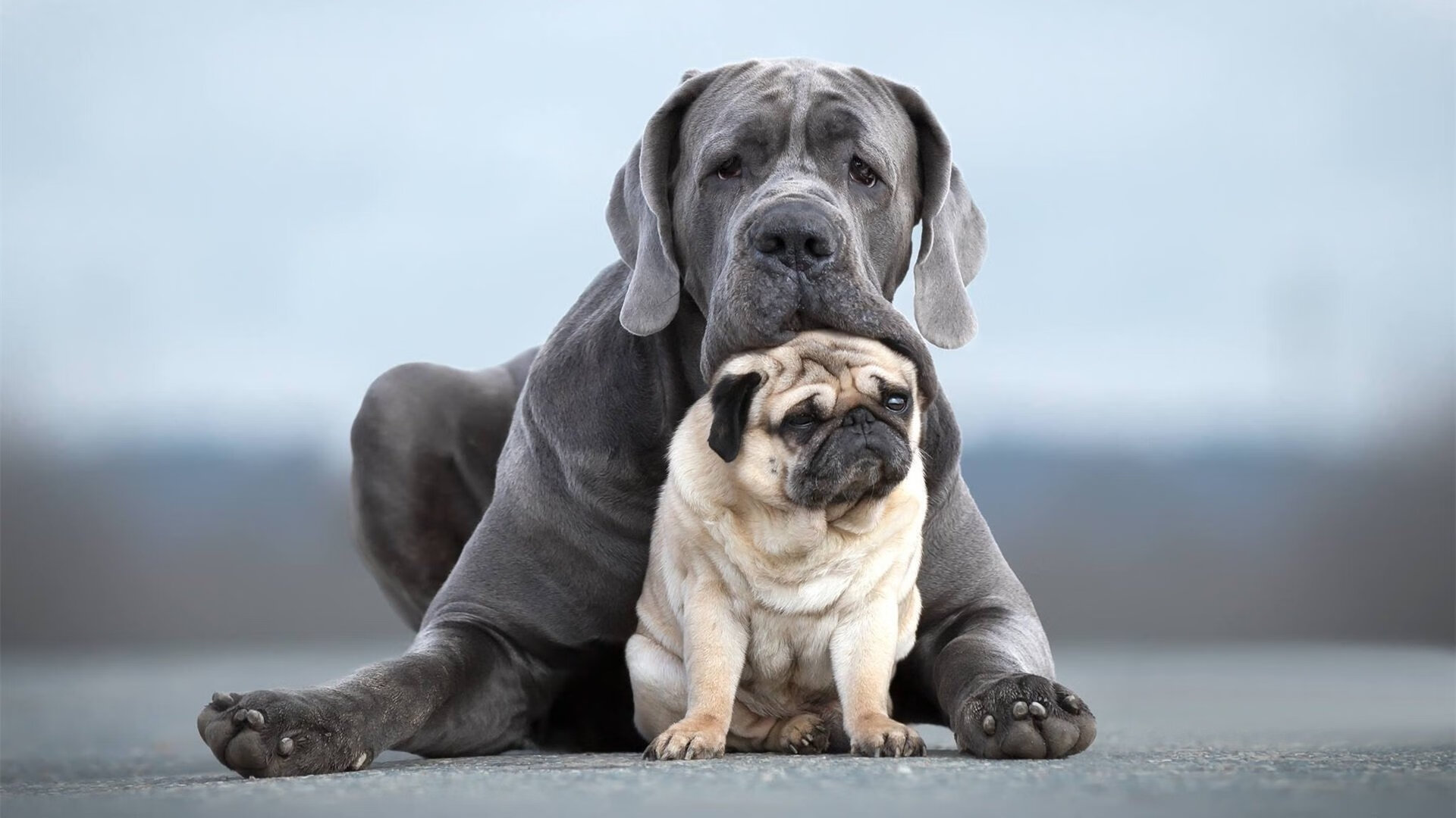 神剧本！诺坎普诡异决胜局，卡塞米罗为巴萨带走几内亚？