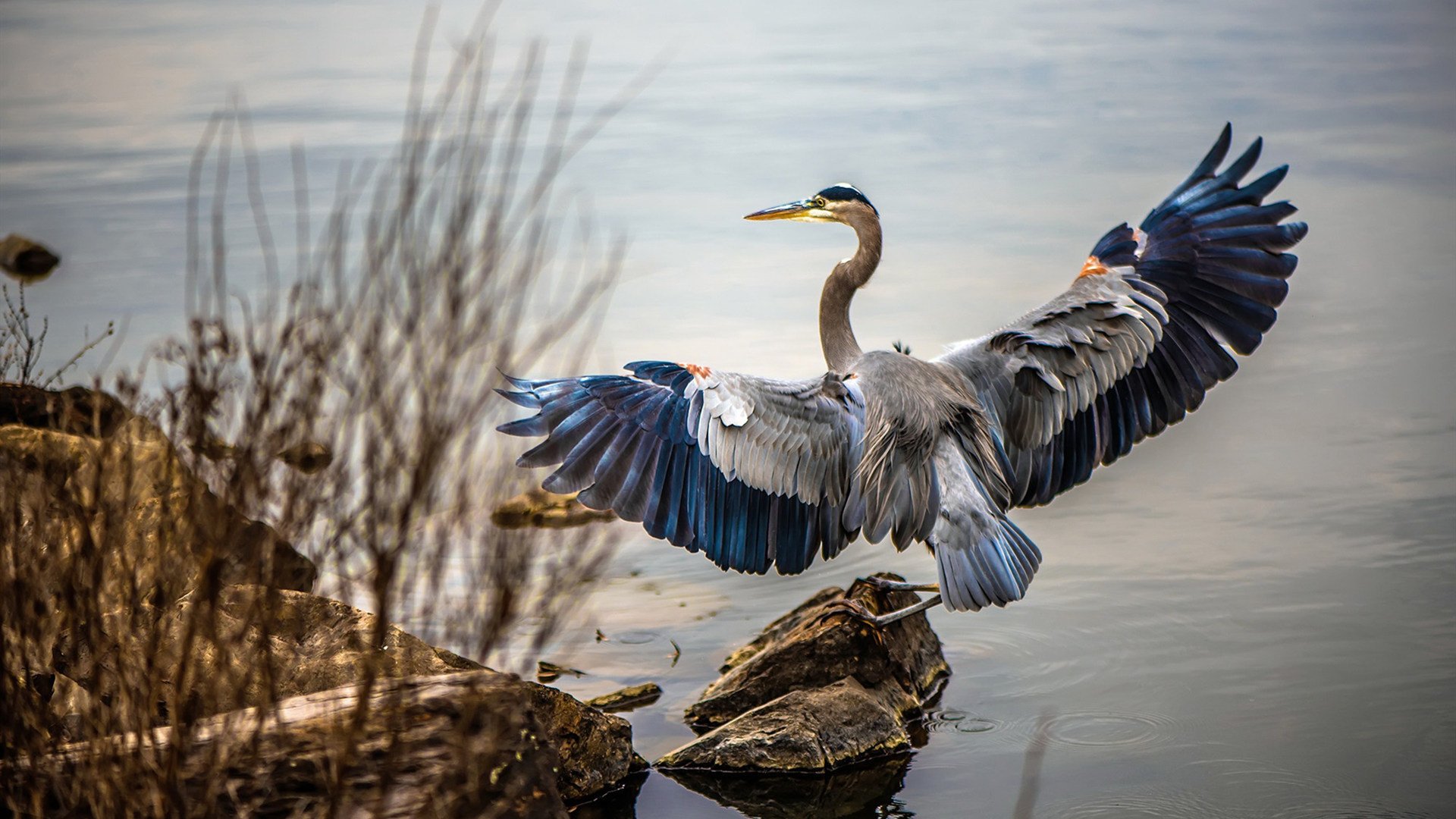当足球巨星遇上沙漠雄鹰，亚洲体育的跨越式爆发
