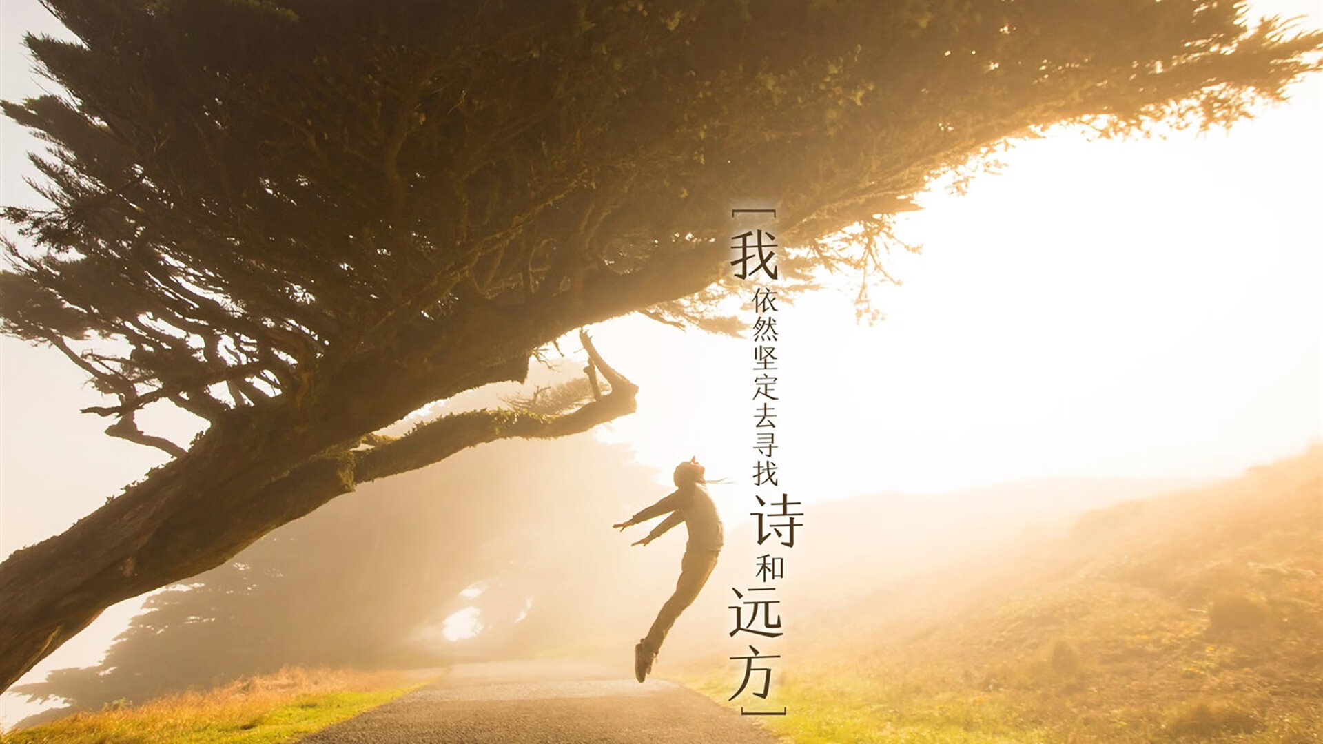 混凝土蓝图，当广厦用迈阿密的砖石封存传奇