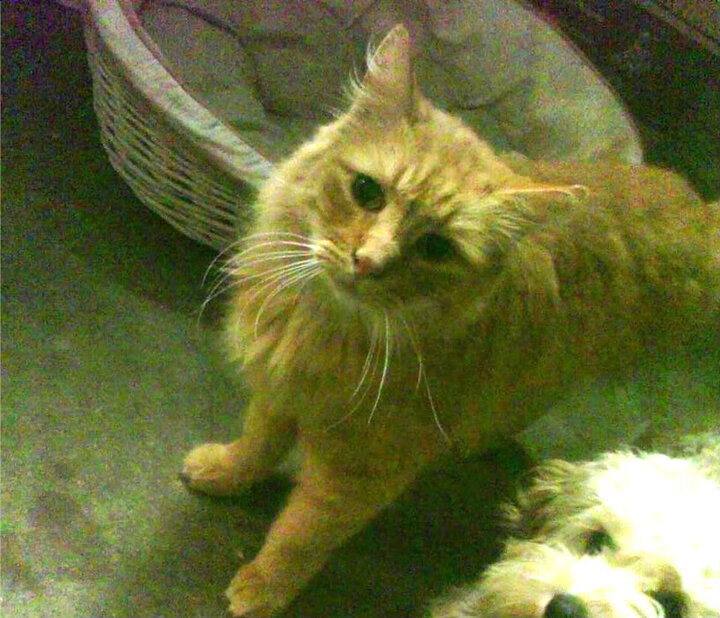 巴尔韦德归来！毕尔巴鄂竞技打破金元足球神话，一场胜利为何震动整个足坛？