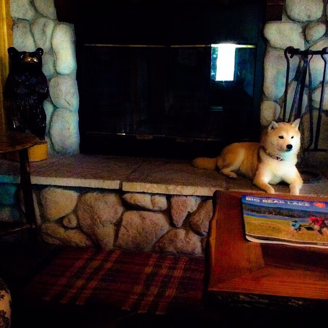 掌控节奏的艺术，保罗引领上海队完胜热火