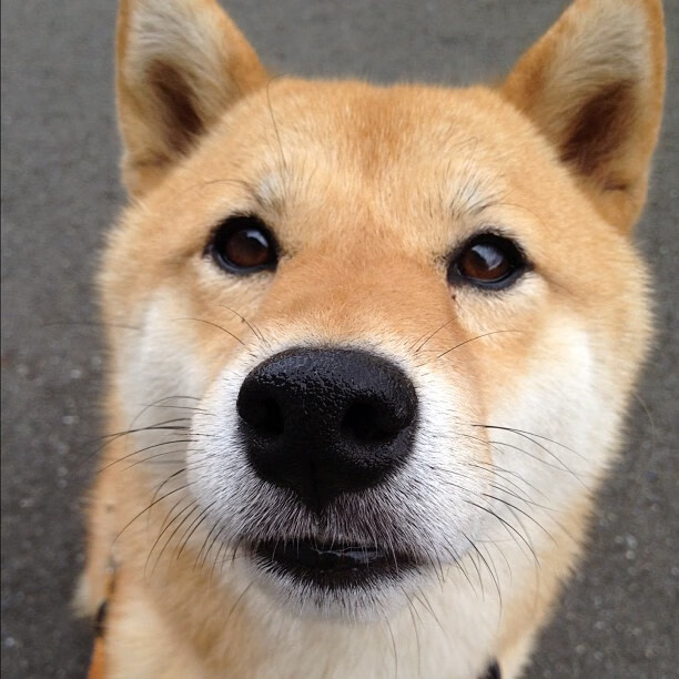 费城淬火之夜，76人血拼骑士，年度焦点之战的淬火锻造