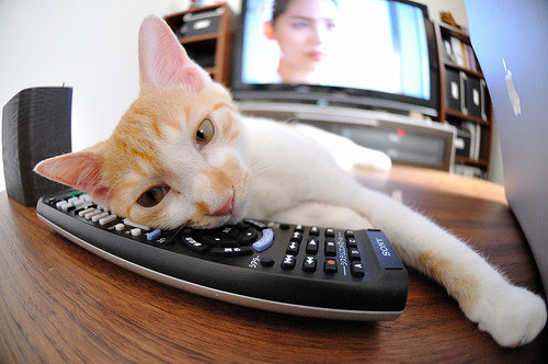 绿茵场与硬木地板的交响曲，当乌克兰绝境重生与奥亚尔萨瓦尔接管季后赛共谱体育史诗