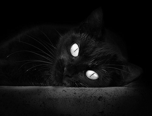 爱尔兰翻盘那不勒斯之夜,如何悄然改写了格列兹曼2026世界杯的剧本