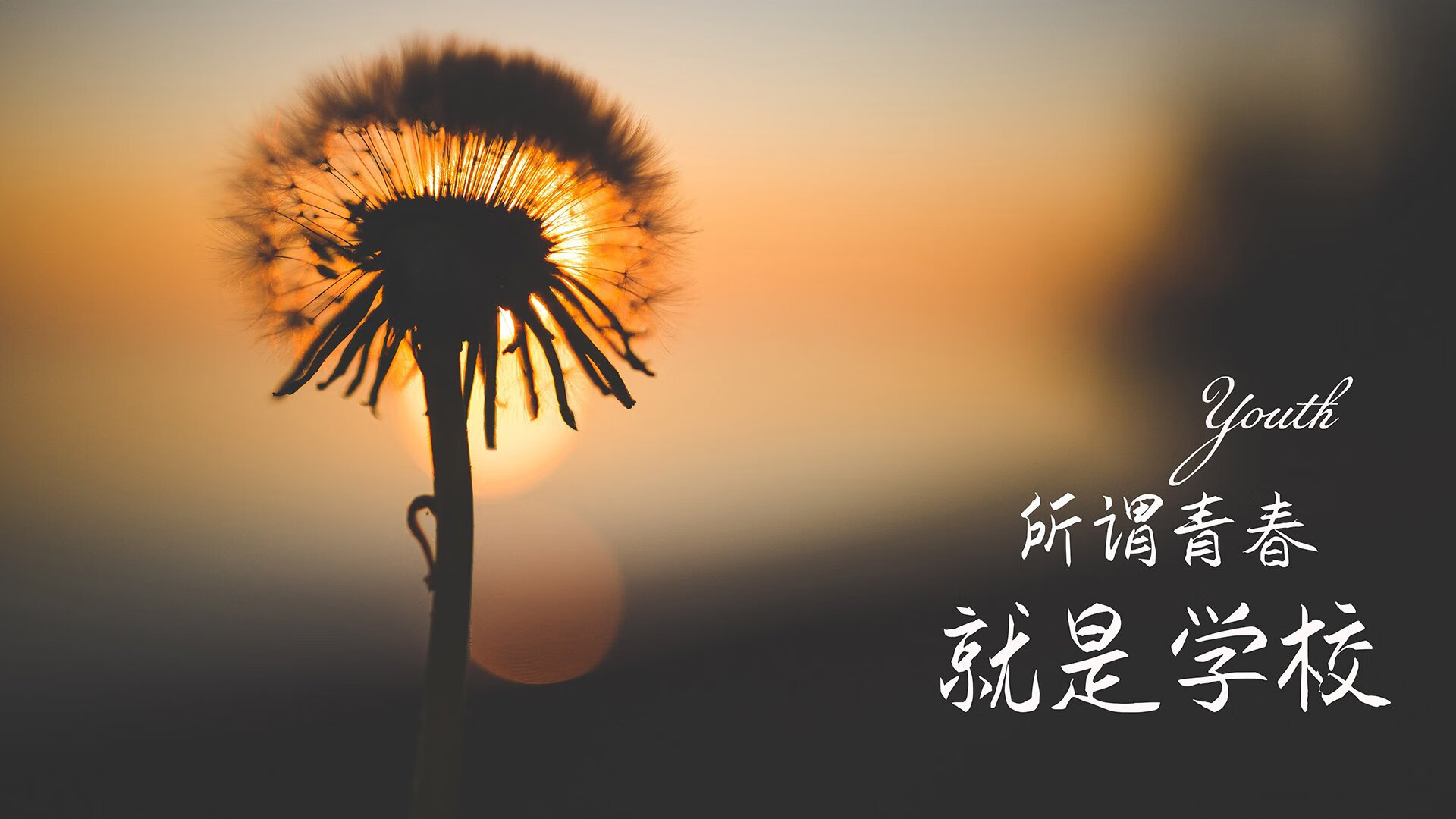 大漠孤烟与南美狂舞,布罗佐维奇,2026世界杯A组战局中那把无形的钥匙