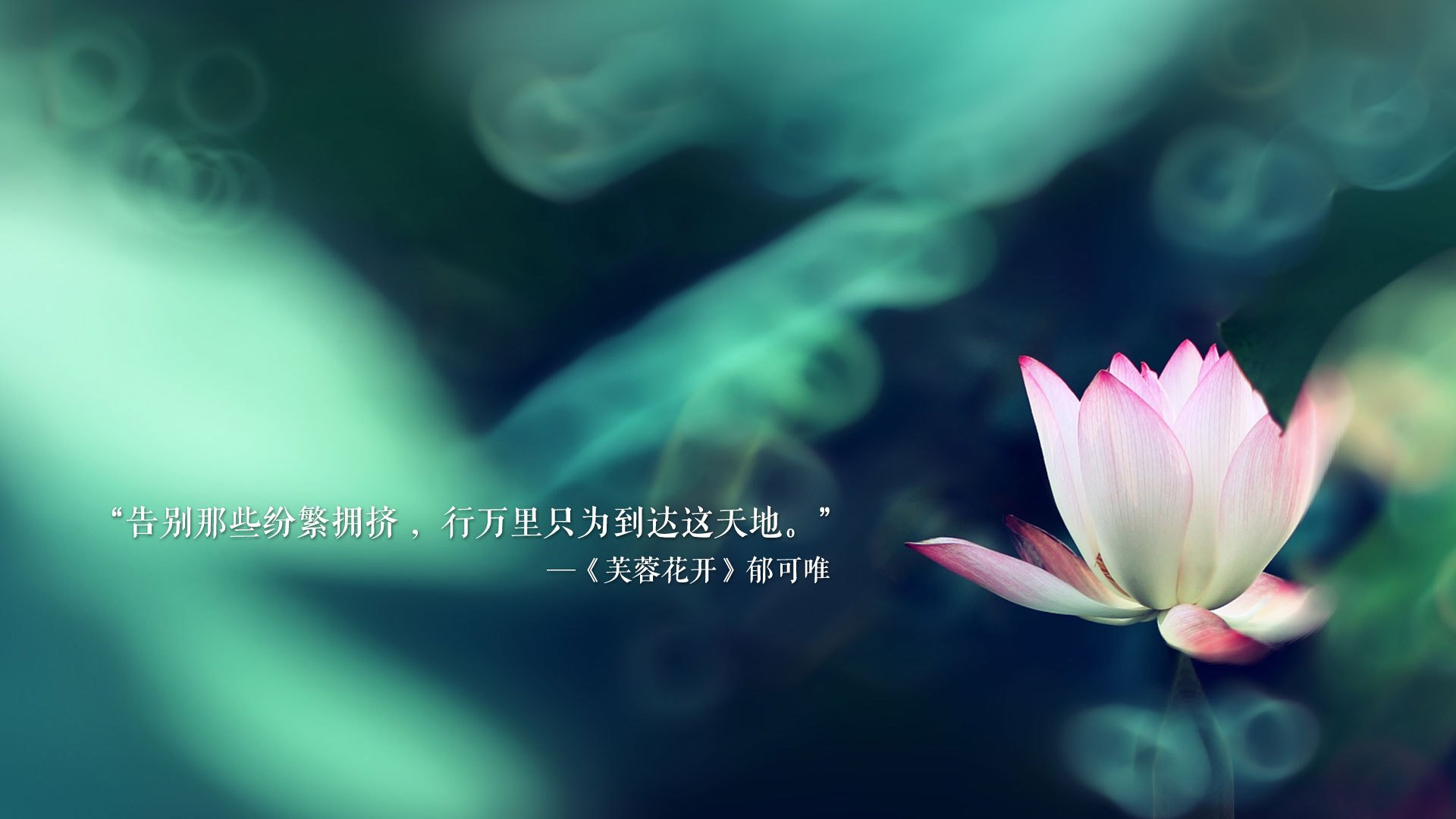 冰与火之歌,2026,坎塞洛在唯一的F组泰冰之战中,定义了不可能的平衡