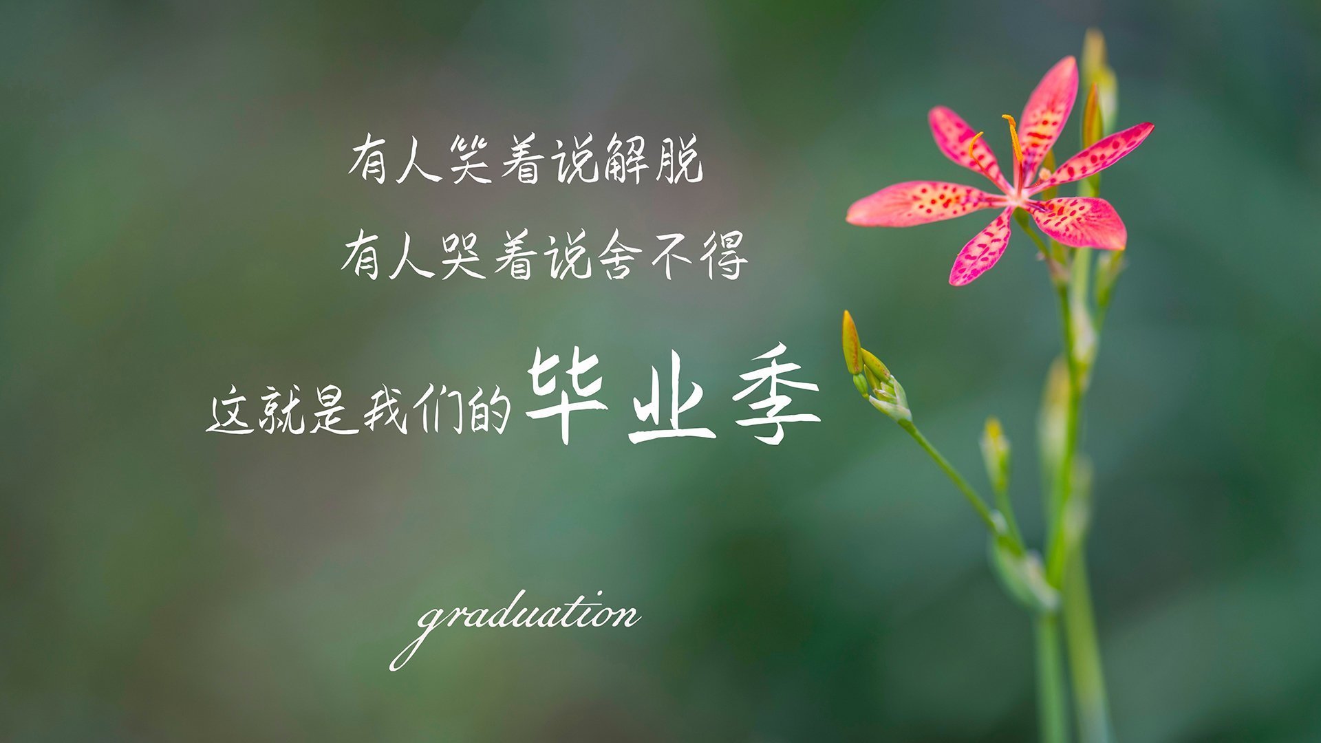 边缘英雄的独白，2026世界杯关键战，斯洛伐克险胜泰国，奥斯梅恩一战封神